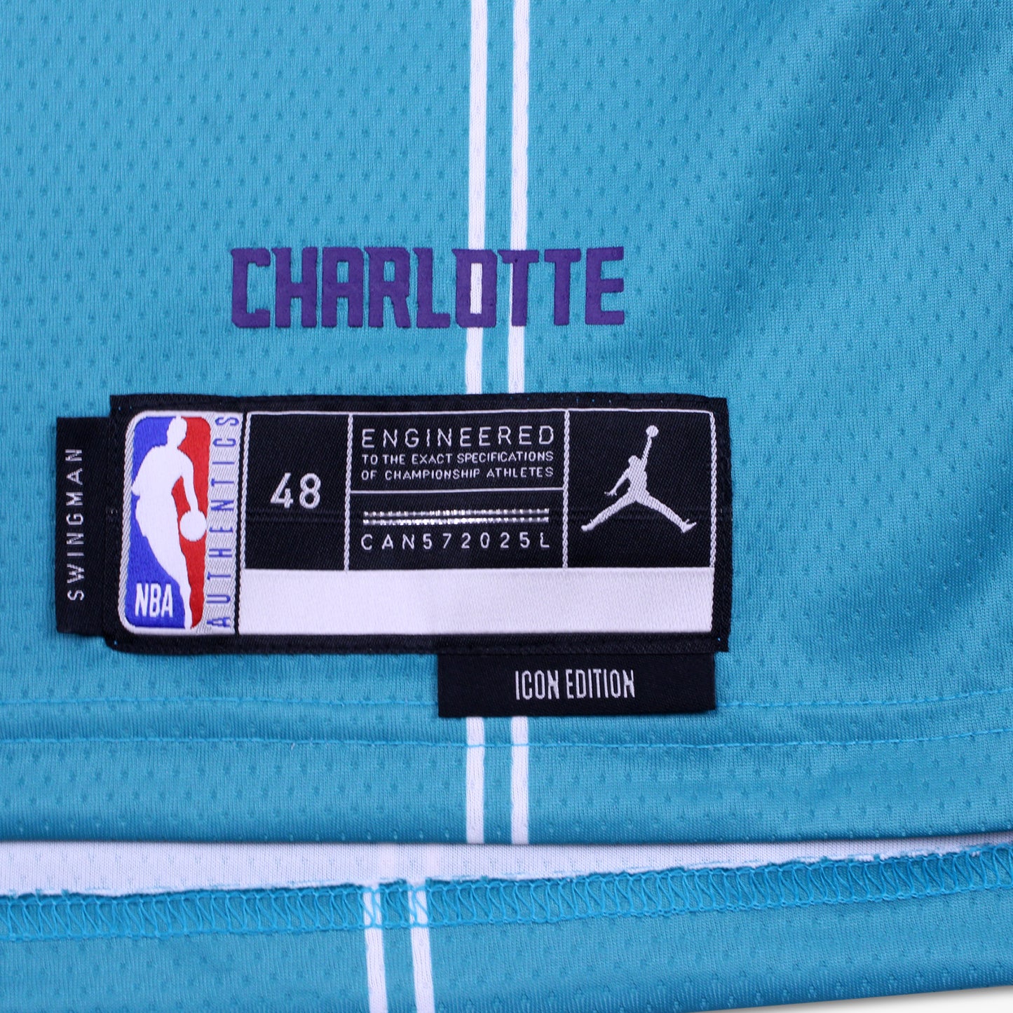 
                  
                    Men's Nike Charlotte Hornets LaMelo Ball Icon Edition 2022-23 Swingman Jersey
                  
                